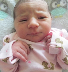 Aria Lee Steuerwald