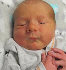 August Max