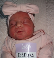 Collyns Aden