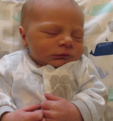 Colton Brestel