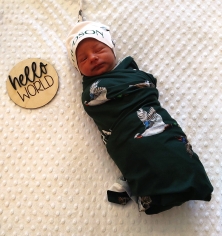 Newborn Photo of Hudson Joseph 