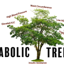 Metabolic Tree representing factors that create insulin resistance