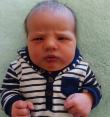 Ollie Tolle