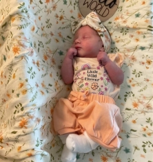 Newborn Photo of Willow Anne 