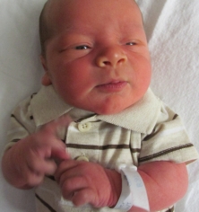 Wyatt Robert Viter