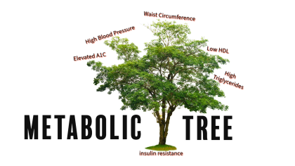 Metabolic Tree representing factors that create insulin resistance